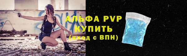СК Беломорск