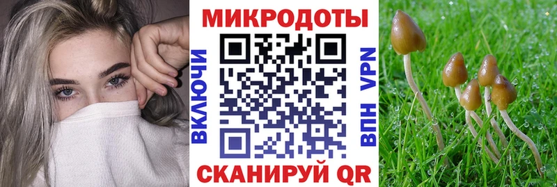 цена наркотик  Верхняя Пышма  Псилоцибиновые грибы MAGIC MUSHROOMS 